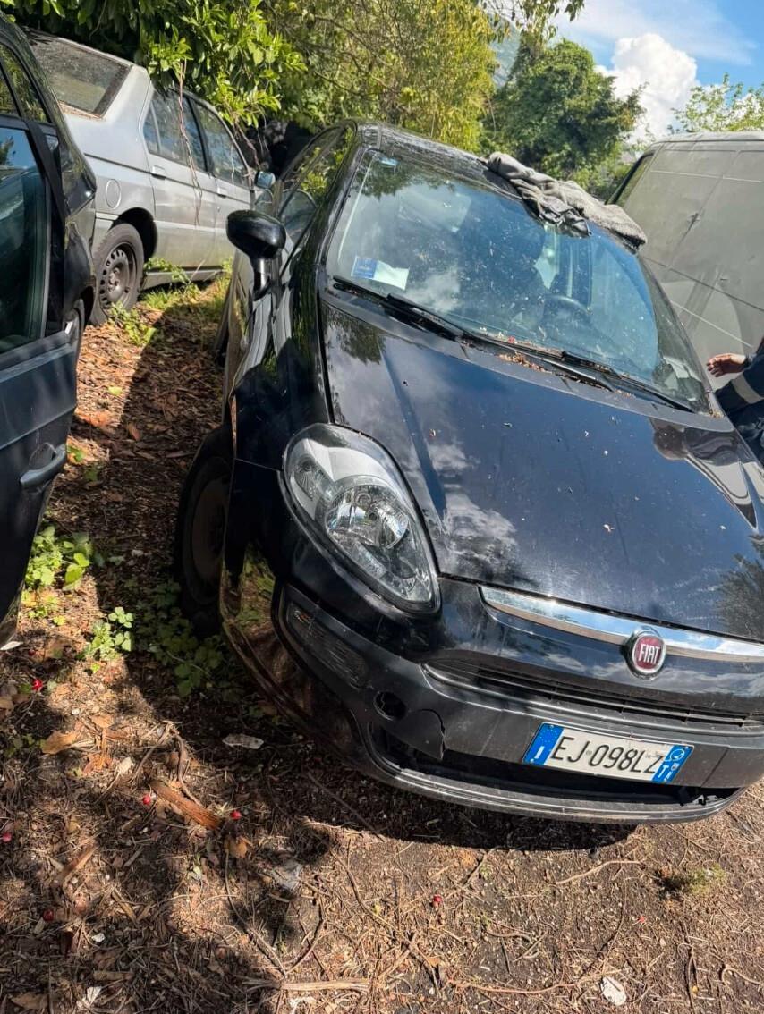 Fiat Punto Evo 1.3 Mjt 75 CV 5 porte
