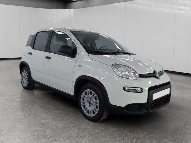 FIAT Panda 1.0 firefly hybrid s&s 70cv