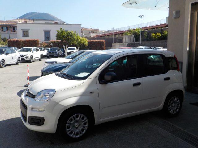 FIAT Panda MY25 - 1.0 FireFly Hybrid POP