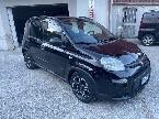 Fiat Panda 1.0 hybrid city life