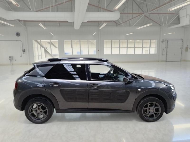 CITROEN C4 CACTUS BlueHDi 100 Shine