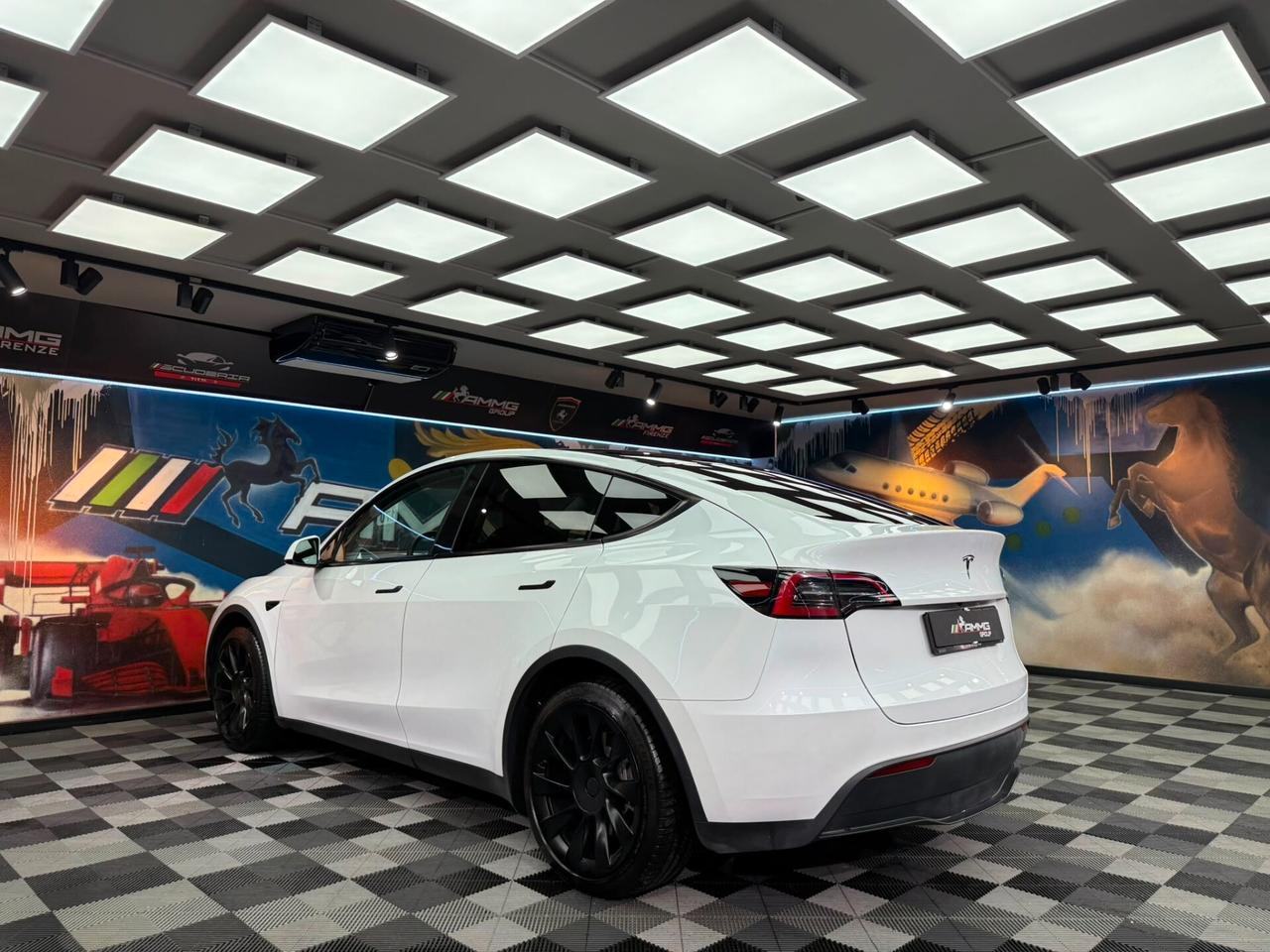 Tesla Model Y RWD (050)