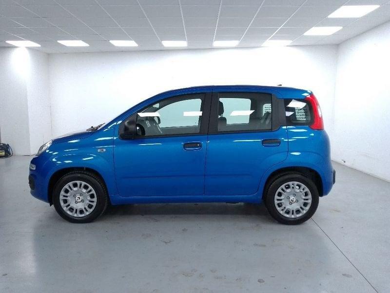FIAT Pandina 1.0 firefly hybrid Icon s e s 70cv 5p.ti