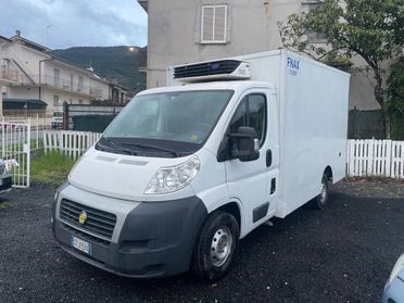 Fiat Ducato Frigo