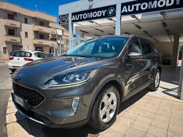 Ford Kuga 1.5 EcoBlue 120 CV 2WD Carplay+Led+Navi+Pdc