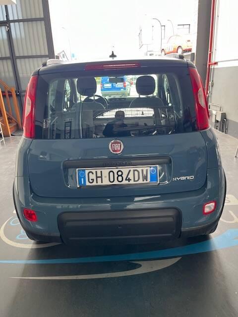 Fiat Panda III 1.0 firefly hybrid City Life s&s 70cv