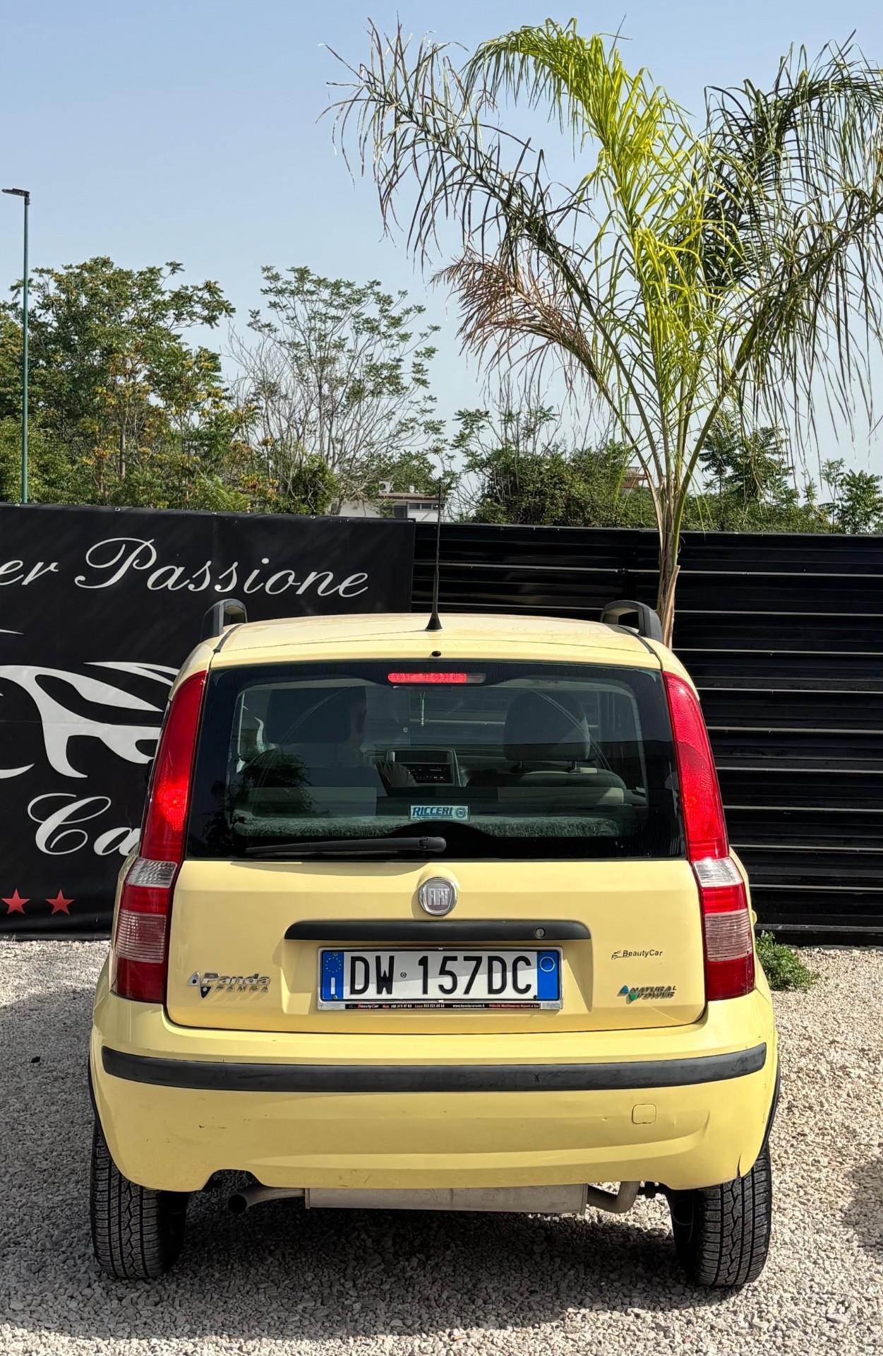 Fiat Panda 1.2 Climbing Natural Power