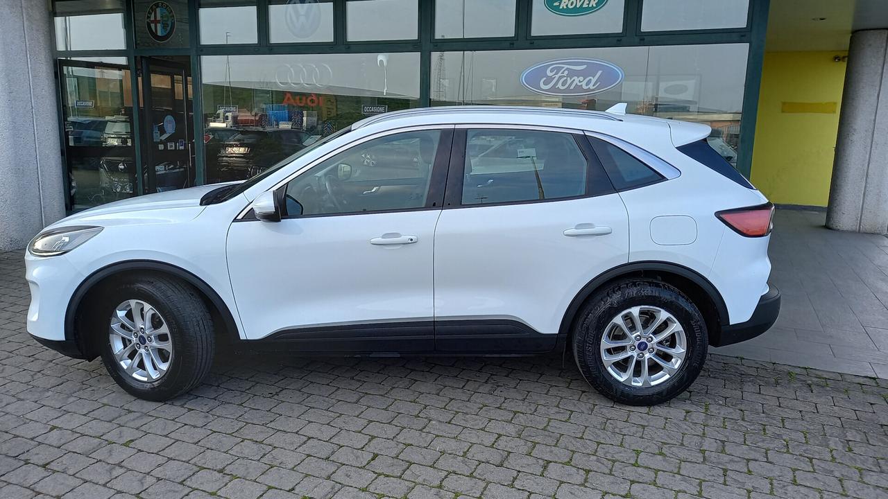 Ford Kuga 1.5 EcoBlue 120 CV aut. 2WD Titanium Business
