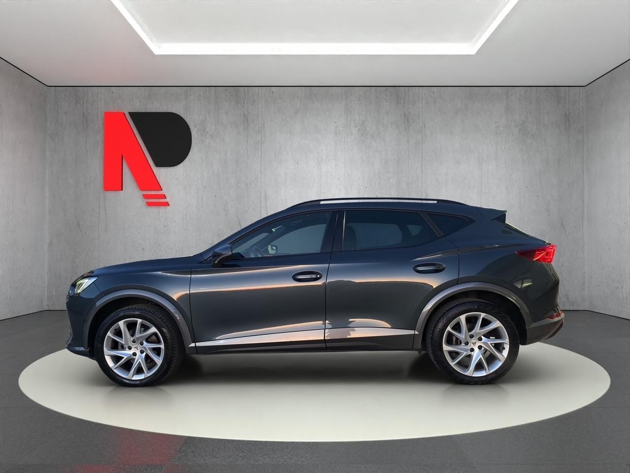 Cupra Formentor 2.0 TDI 4Drive DSG