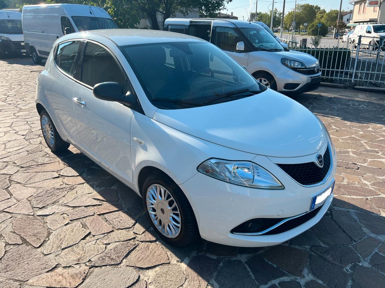 Lancia Ypsilon 1.3 MJT 16V 95 CV 5 porte S&S Gold