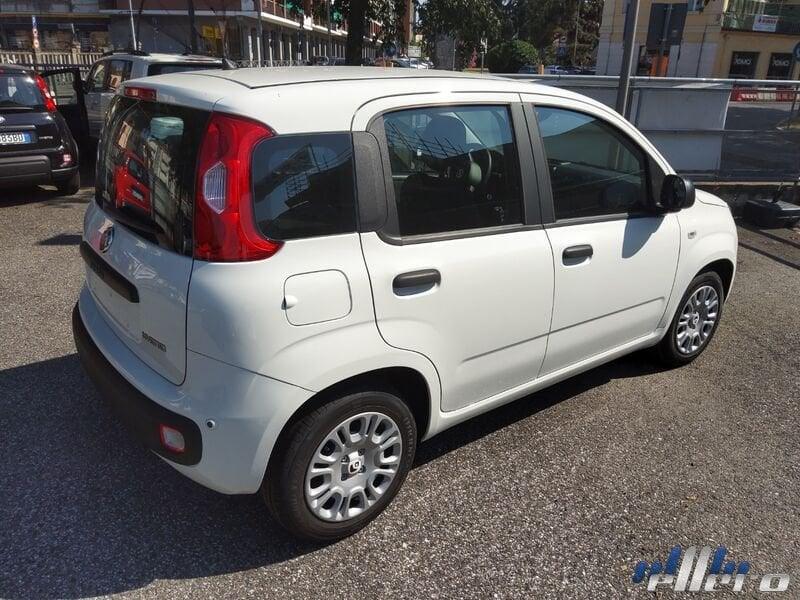 FIAT Panda MY25 1.0 70cv Hybrid