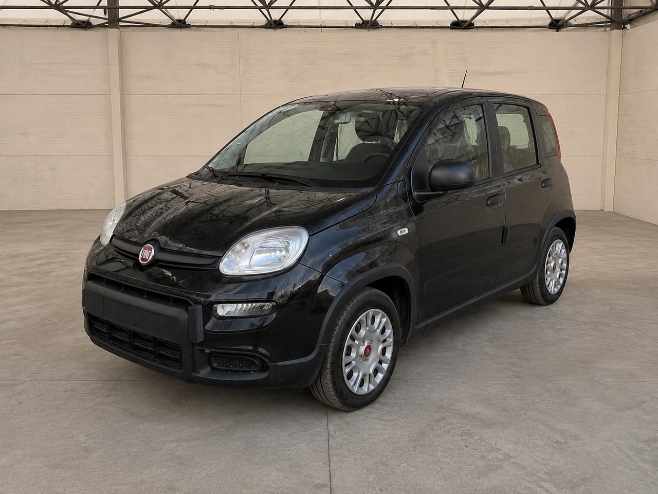 FIAT Pandina III 2024 - Panda 1.0 firefly hybrid s&s 70cv