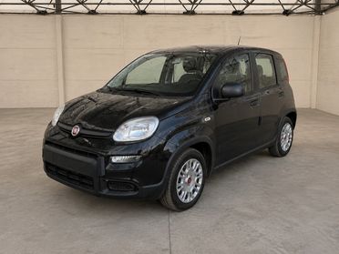 FIAT Pandina III 2024 - Panda 1.0 firefly hybrid s&s 70cv