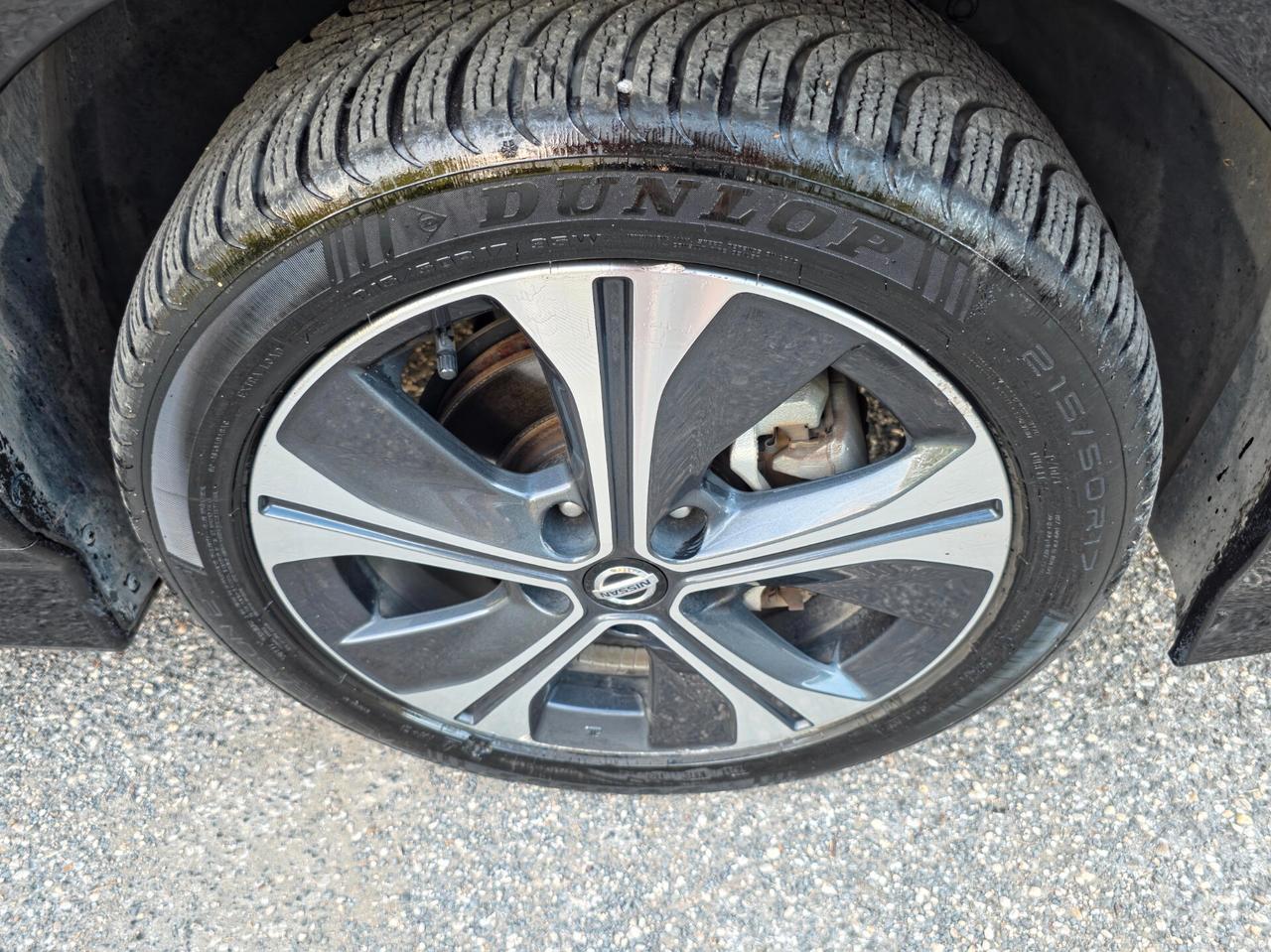 Nissan Leaf e+ Tekna ProPilot Park CV-122 2022