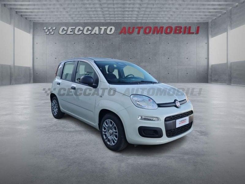 FIAT Pandina Pandina 1.0 65cv Hybrid Icon