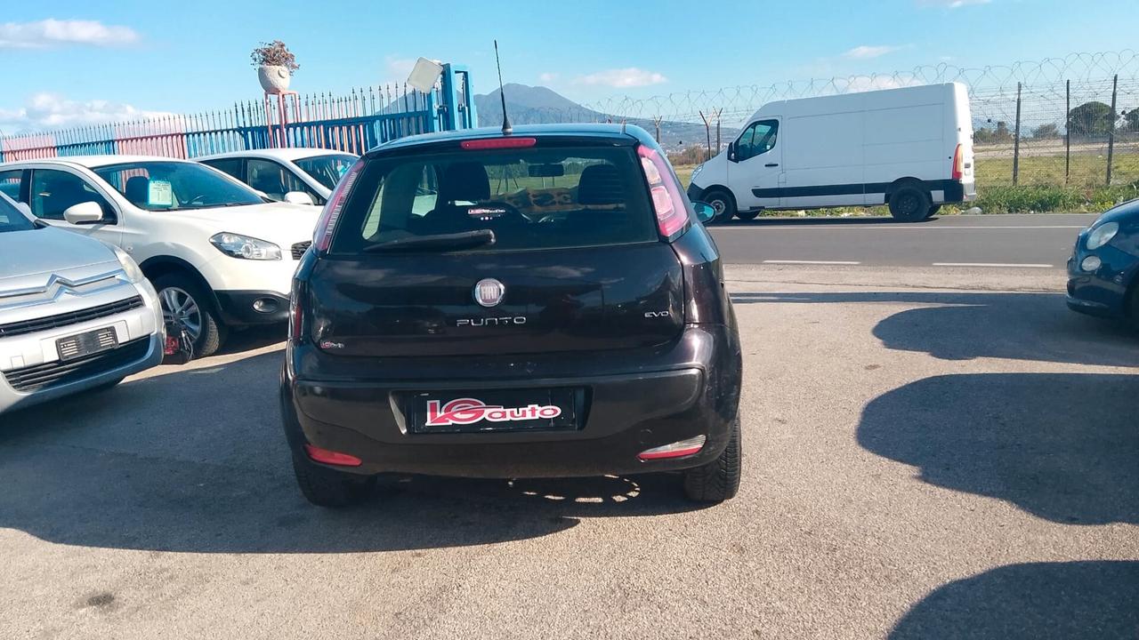 Fiat Punto Evo 1.3 DIESEL neo patentati