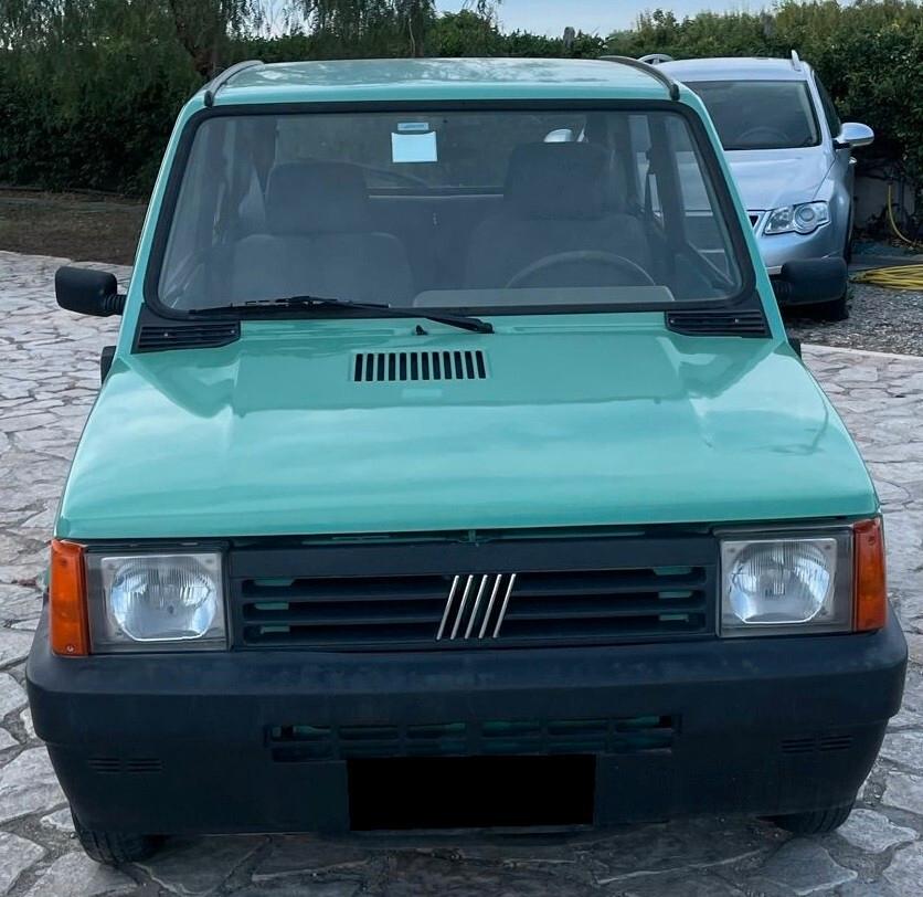 Fiat Panda 1100 i.e. cat Young