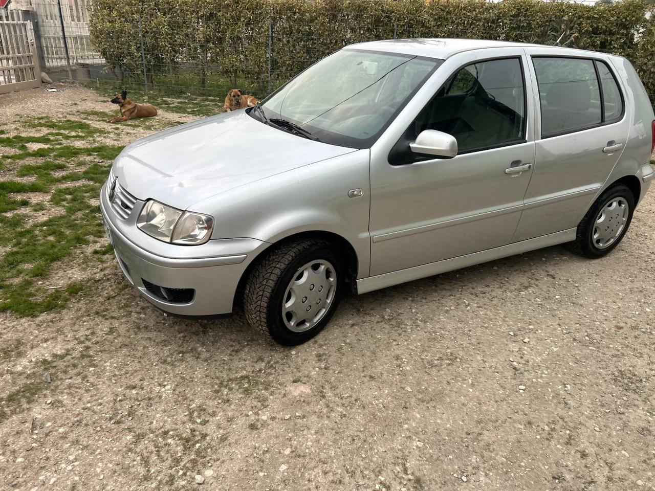 Volkswagen Polo 1.6 16V cat 5 porte GTI