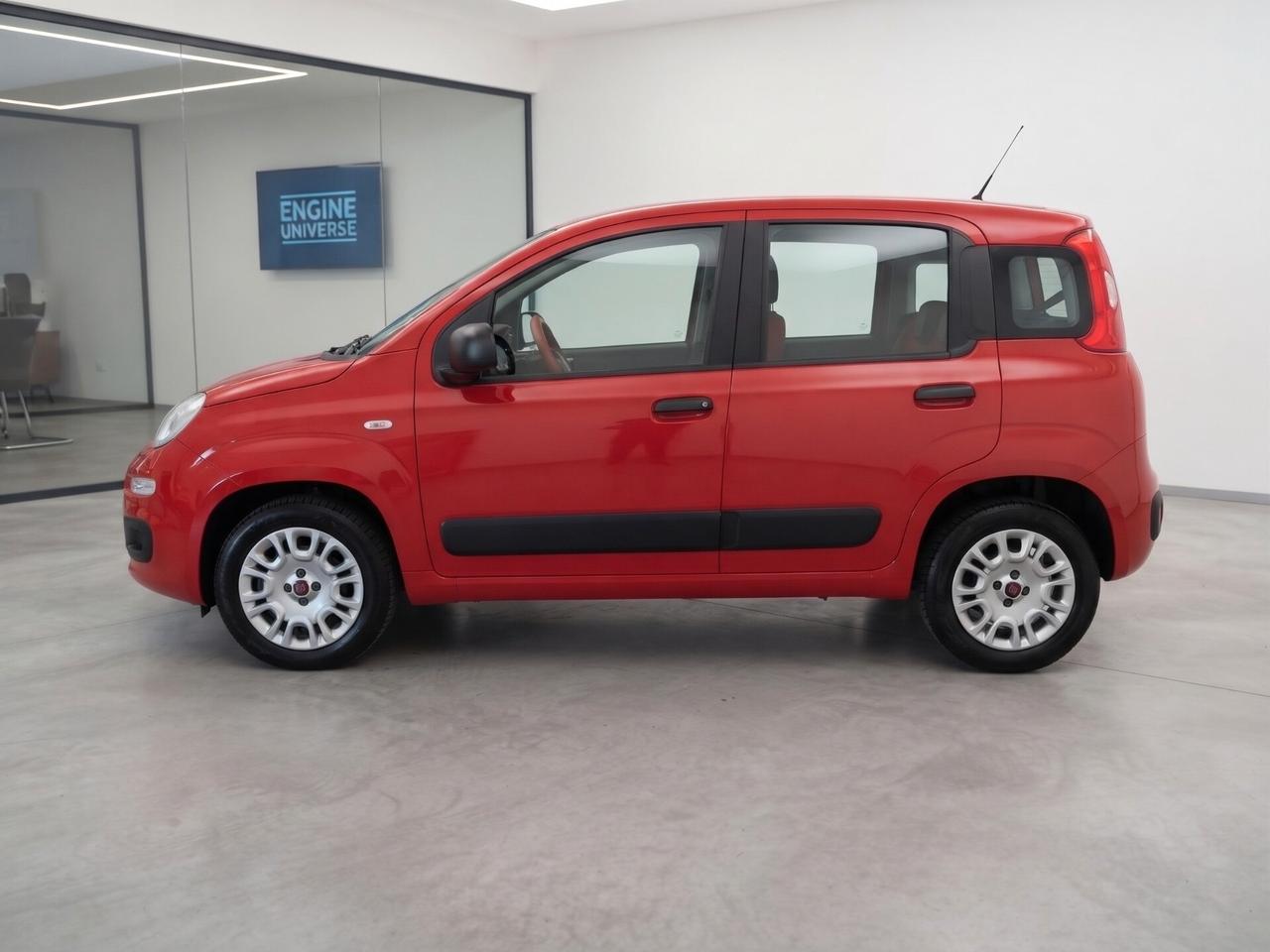 Fiat Panda 1.2 Lounge S&S (My19) - NEOPATENTATI