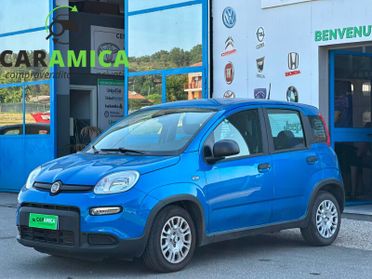 FIAT Panda 3ª serie Panda 1.0 FireFly S&S Hybr...