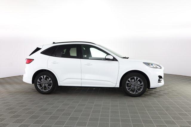 FORD Kuga Kuga 2.5 Plug In Hybrid 225 CV CVT 2WD ST-Line