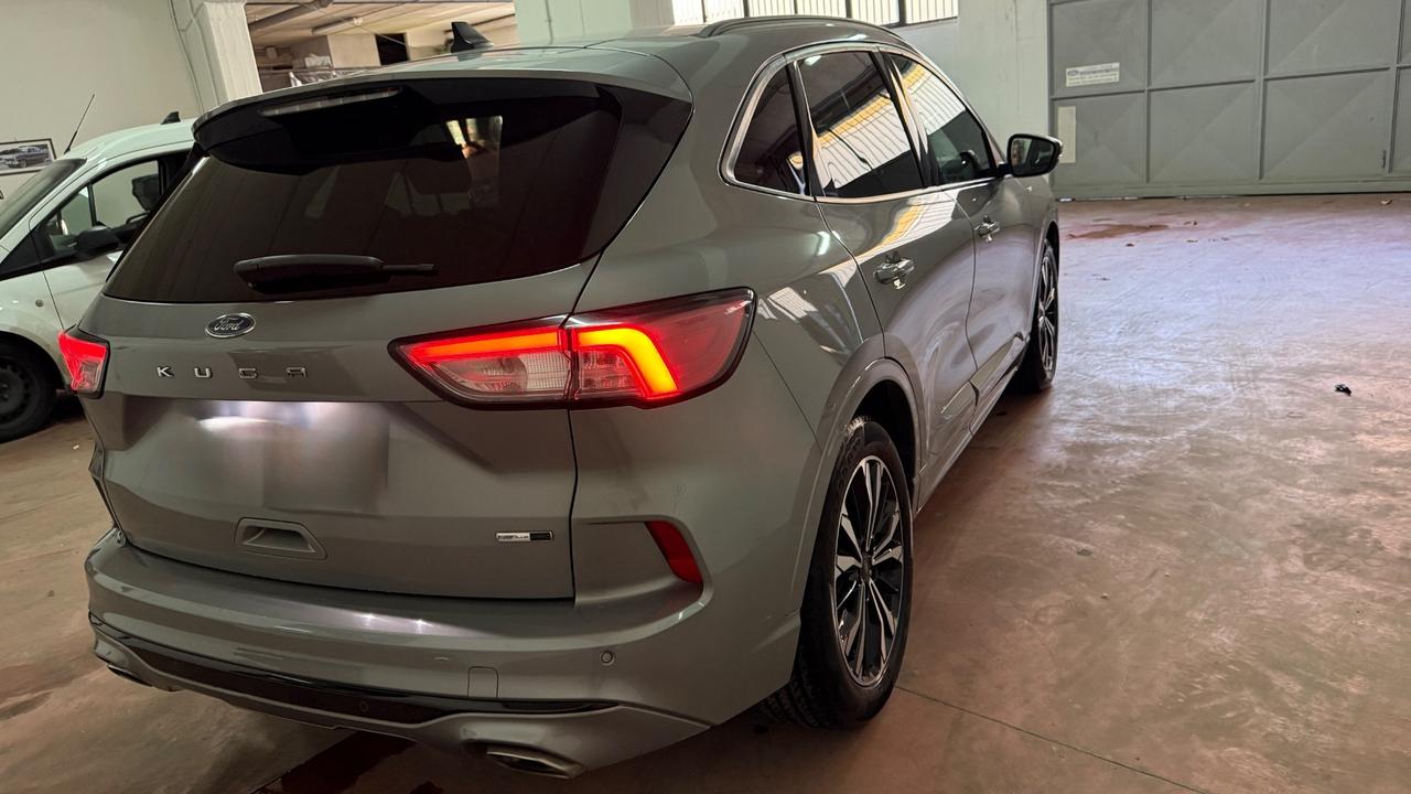 Ford Kuga 2.0 EcoBlue Hybrid 150 CV 2WD St Line X