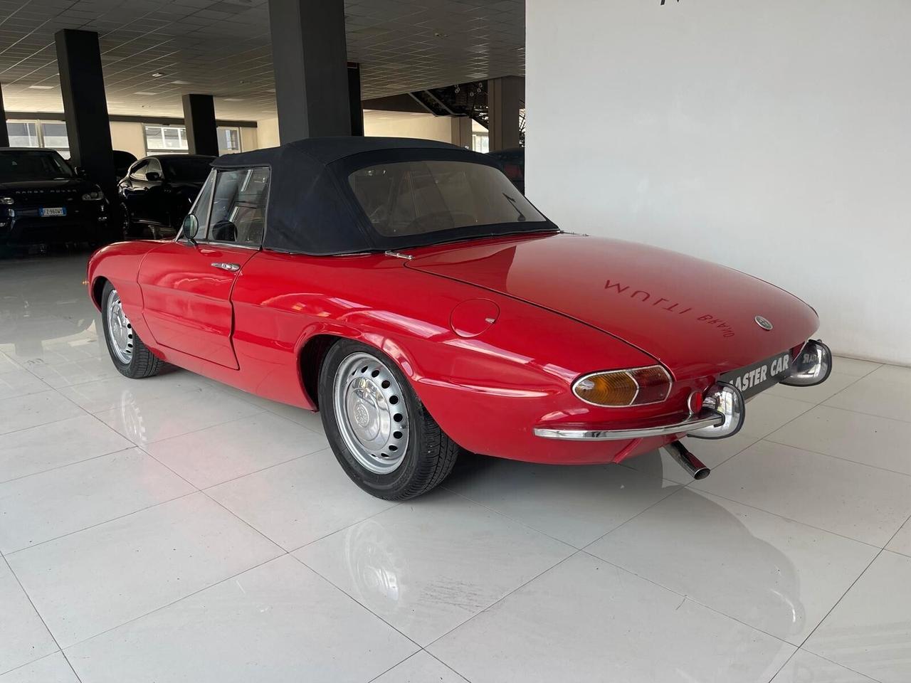 Alfa Romeo Spider duetto osso di seppia