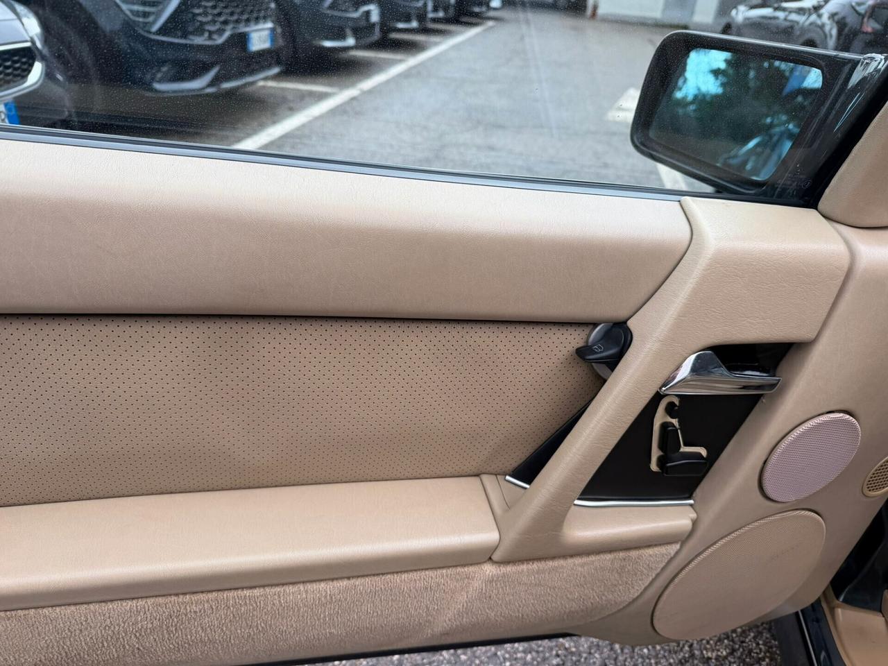 Mercedes-benz SL 300 SL-24 cat