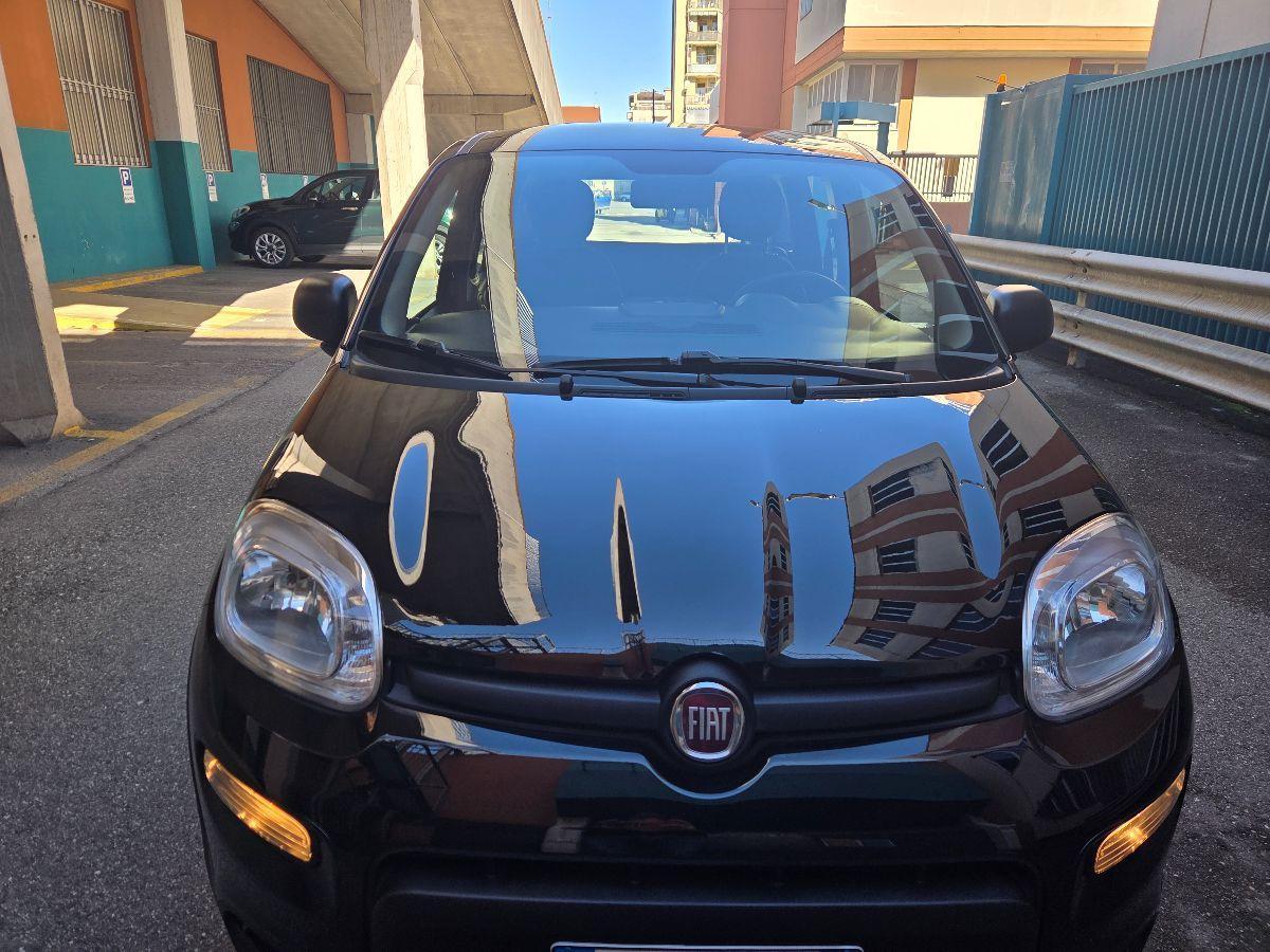 FIAT - Panda - 1.0 FireFly S&S Hybrid