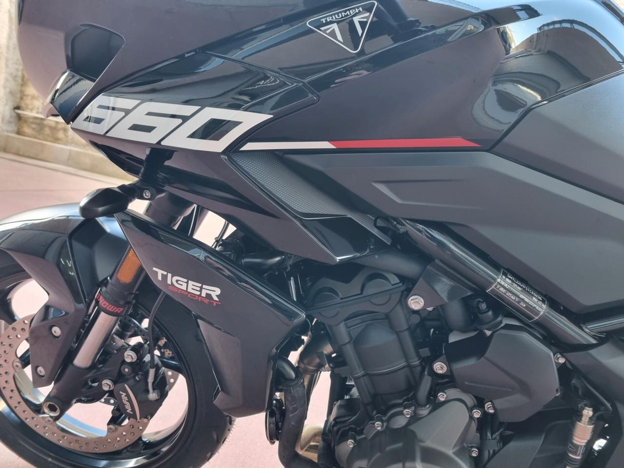 Triumph Tiger Sport 660 CON BORSE LATERALI
