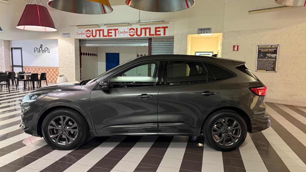 Ford Kuga 1.5 EcoBlue 120 CV 2WD ST-Line