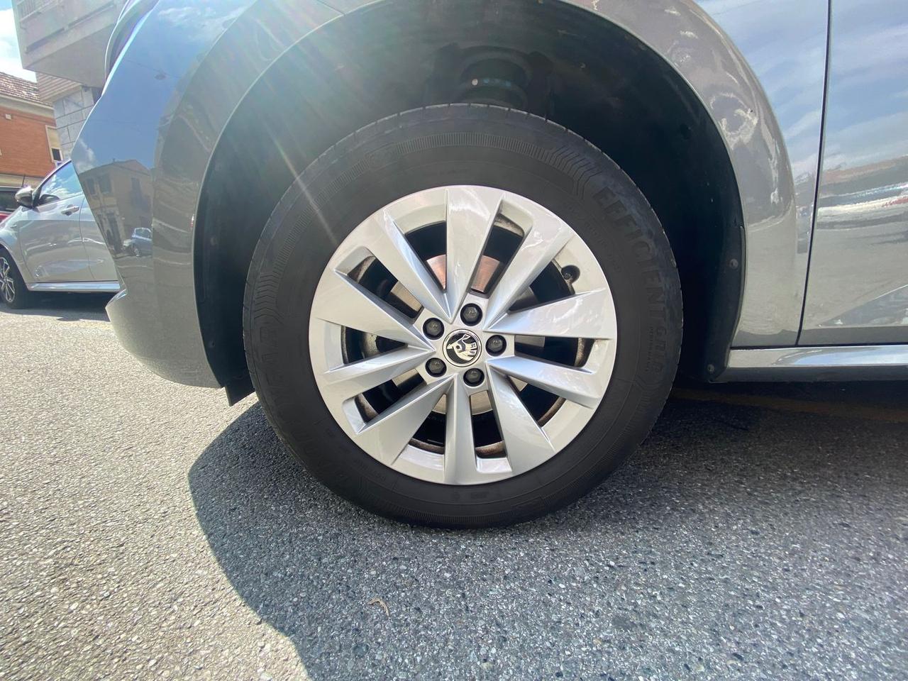 Skoda Kamiq Selection 1.0 TSI #12108