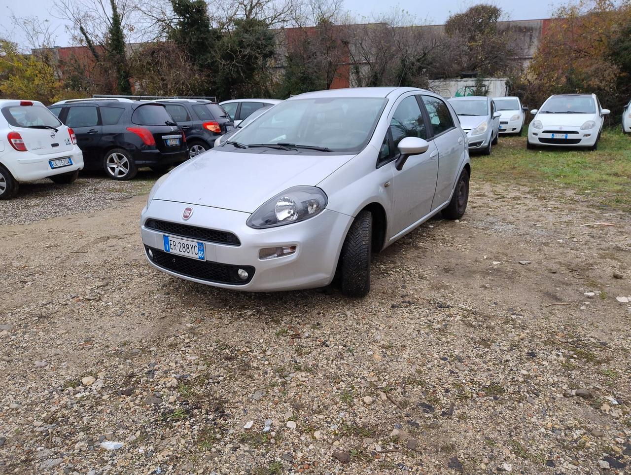 Fiat Punto 1.3 MJT II 75 CV 5 porte Street