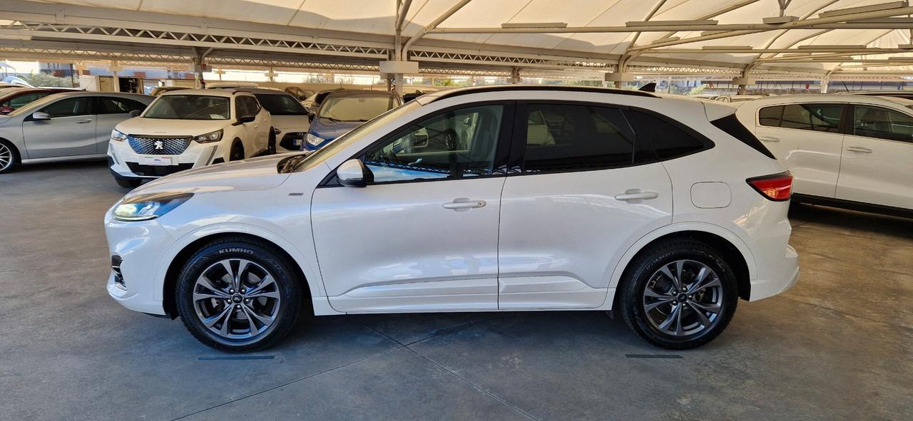 Ford Kuga 1.5 EcoBlue 120cv ST-Line X