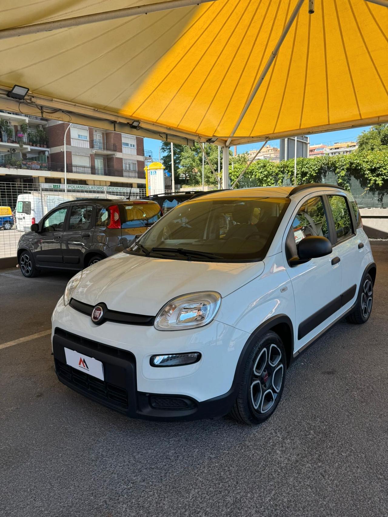 FIAT PANDA 1.0 FIREFLY S&S HYBRID **PREZZO REALE**