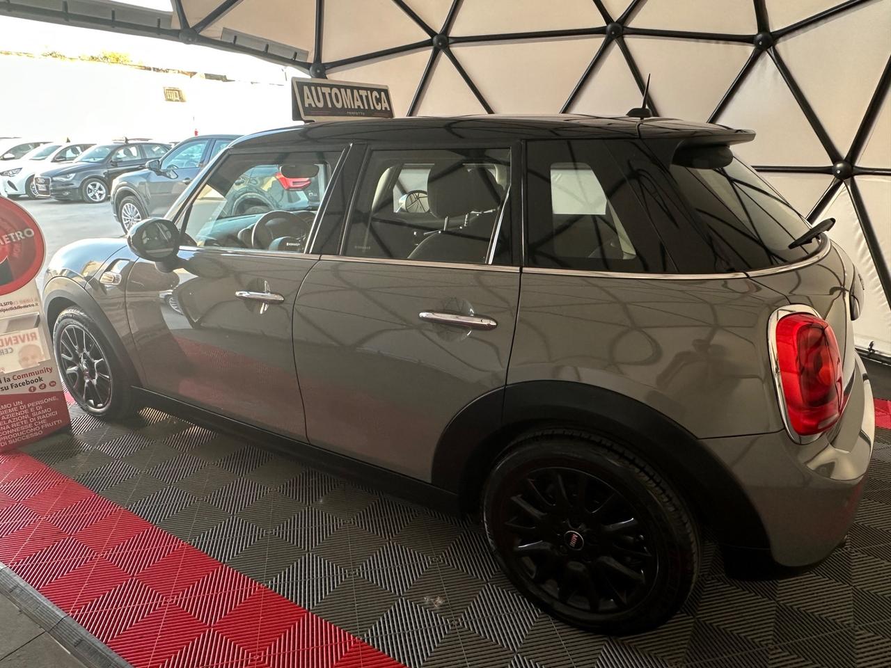 Mini 1.5 One D Hype