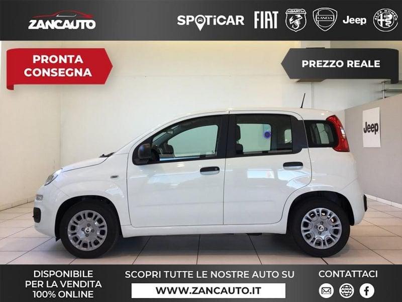 FIAT Panda Panda 1.0 FireFly S&S Hybrid Icon 65cv 5 posti