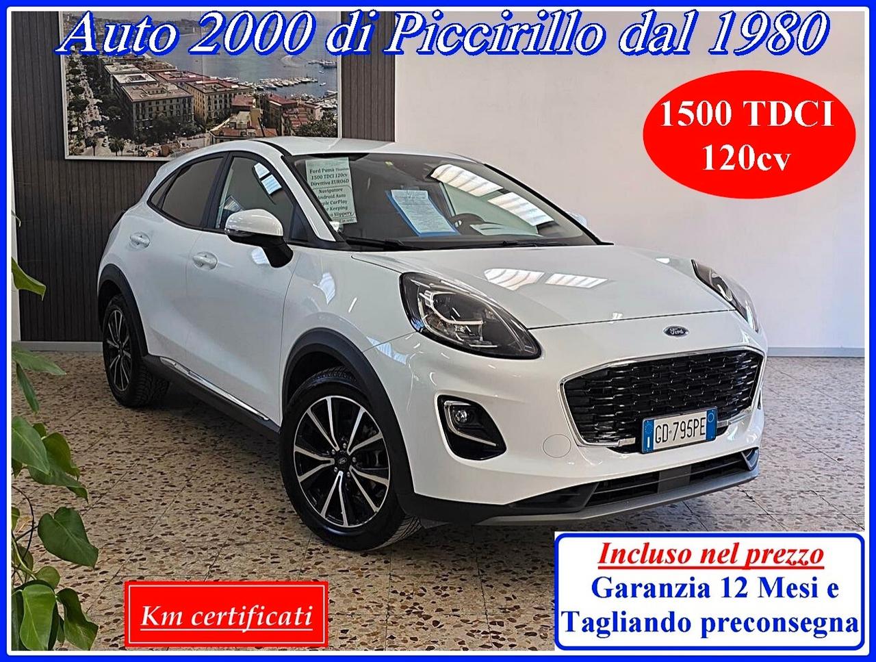 Ford Puma 1500 TDCI 120CV Garanzia di 12 mesi