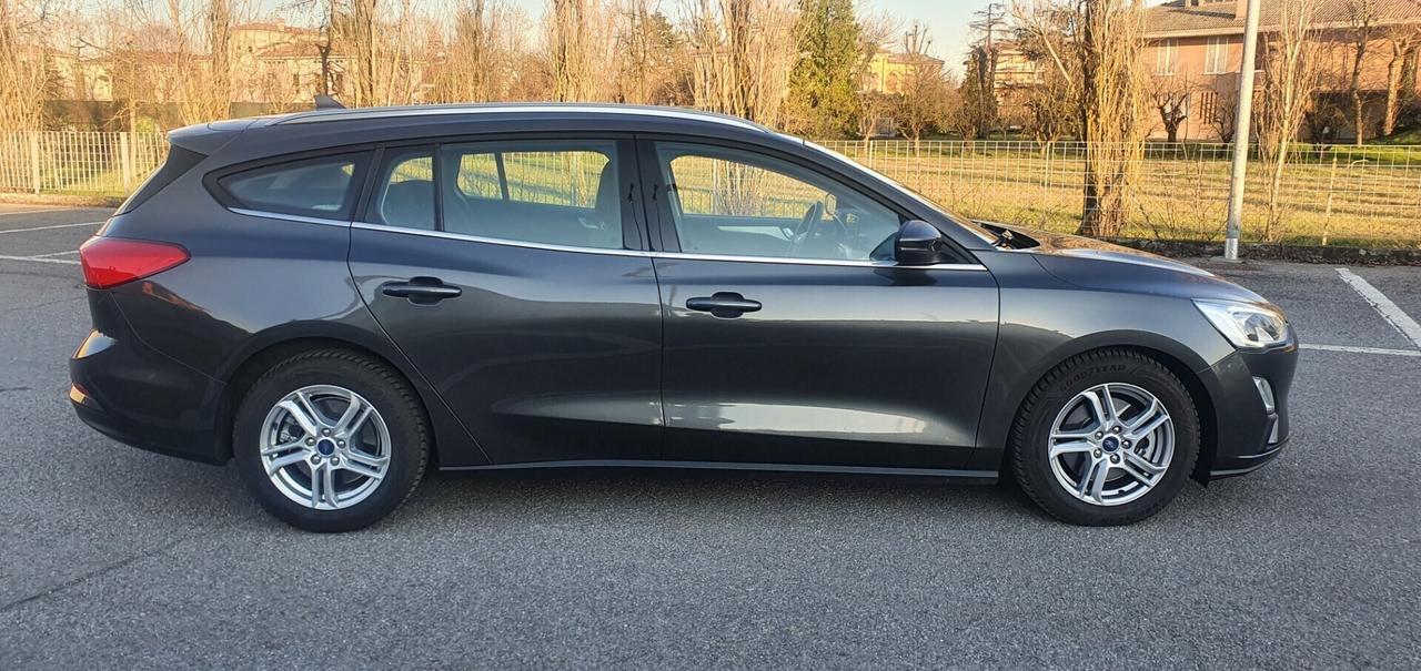 Ford Focus 1.5 EcoBlue 120 CV automatico SW Busine