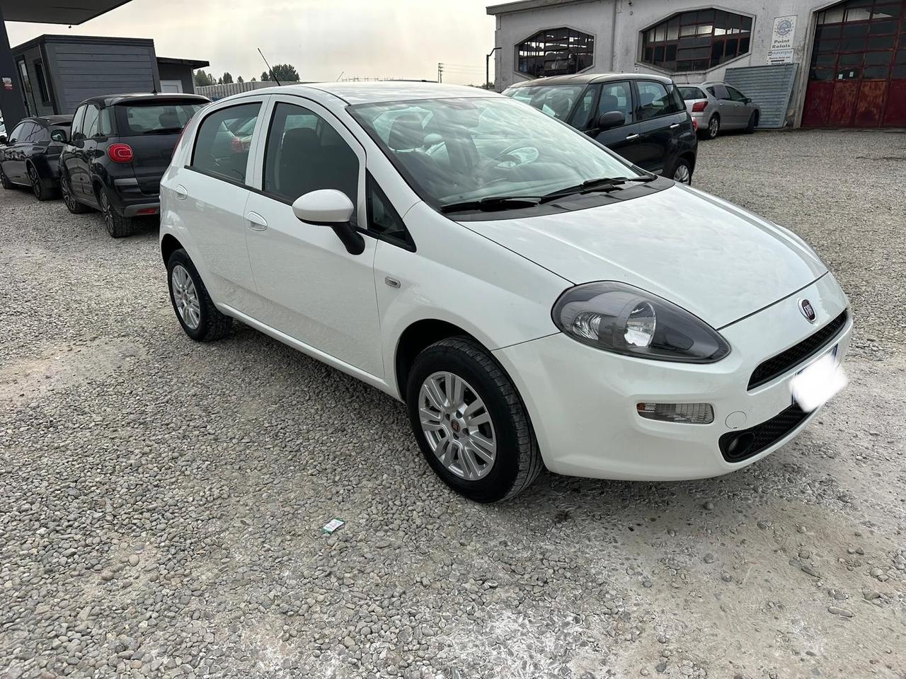 Fiat Punto 1.4 8V 5 porte Natural Power Street