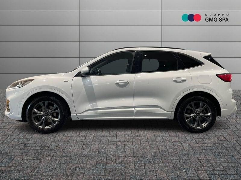 Ford Kuga 1.5 ecoblue ST-Line X 2wd 120cv auto