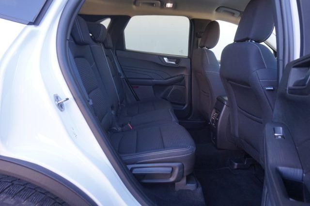 FORD Kuga 1.5 EcoBlue 120CV aut. 2WD Titanium Business