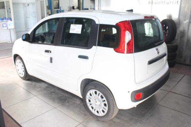 FIAT Panda 1000 HYBRID PANDA 70 CV 5 POSTI KM 0