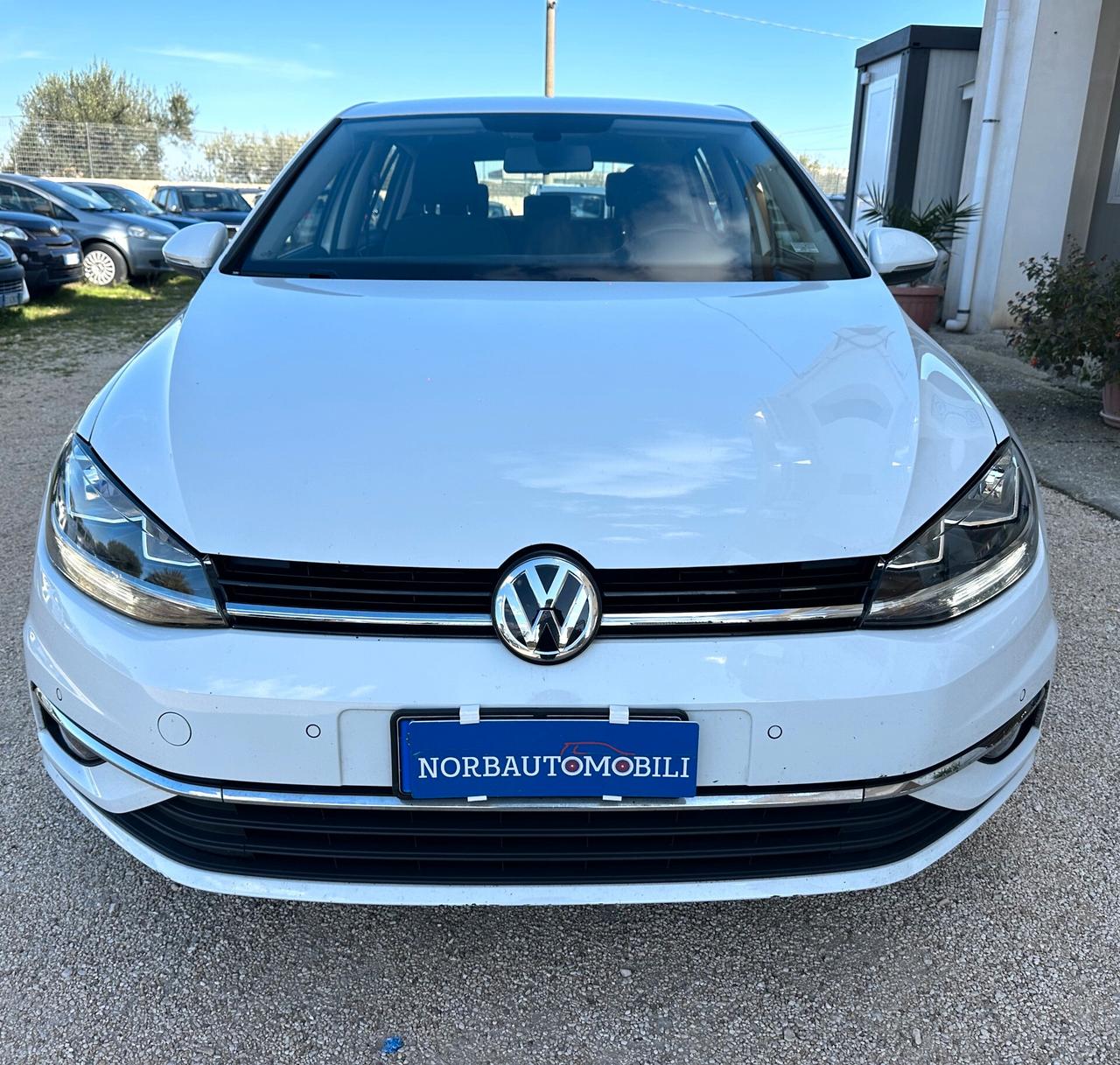 Volkswagen Golf 1.6 TDI 115 CV 5p.BlueMotion Technology 2019