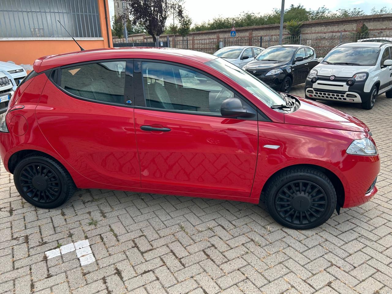 Lancia Ypsilon 1.2 69 CV 5 porte Elefantino