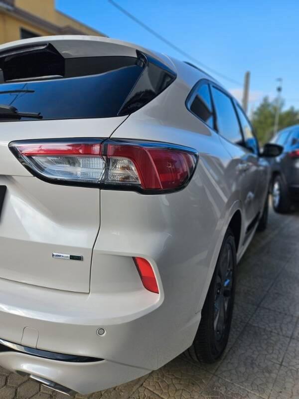 Ford Kuga 2.0 ecoblue mhev ST-Line X 2wd 150cv