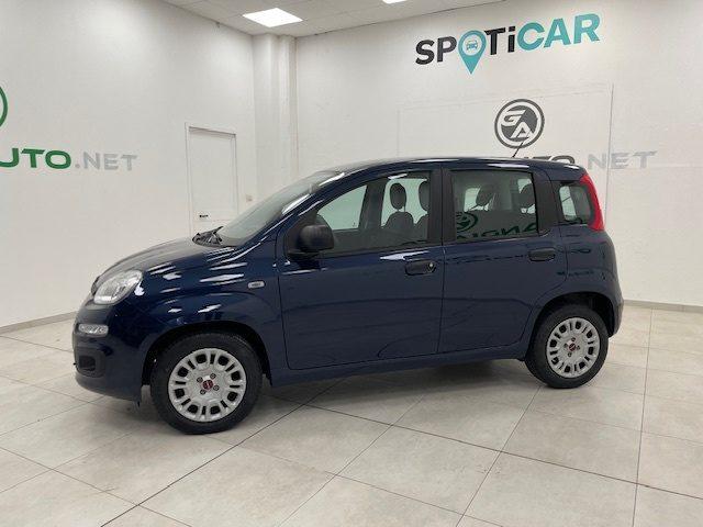 FIAT Panda III 2016 - 1.2 Lounge s&s 69cv my19