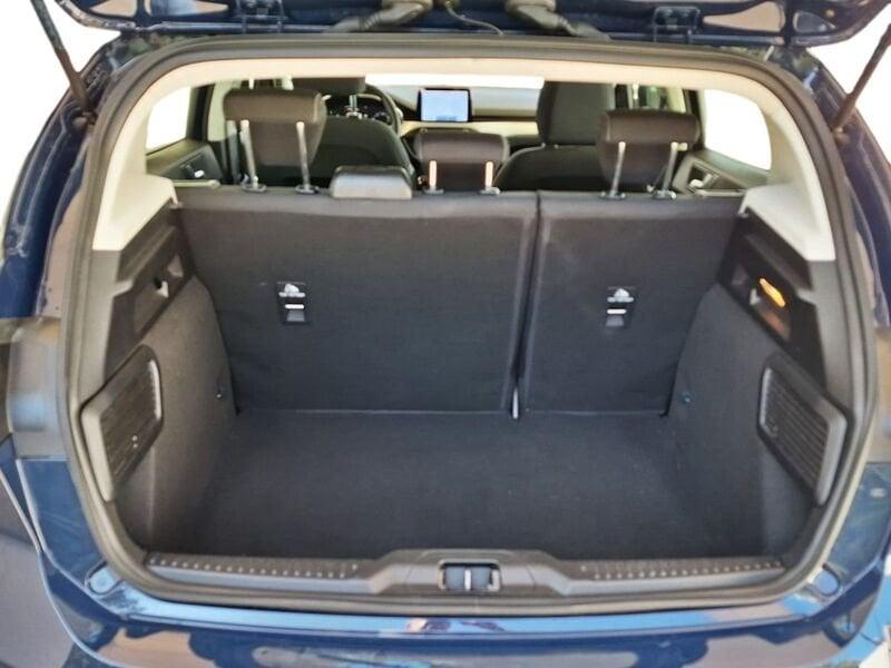 Ford Focus 1.5 EcoBlue 95 CV 5 Porte NAVI Business