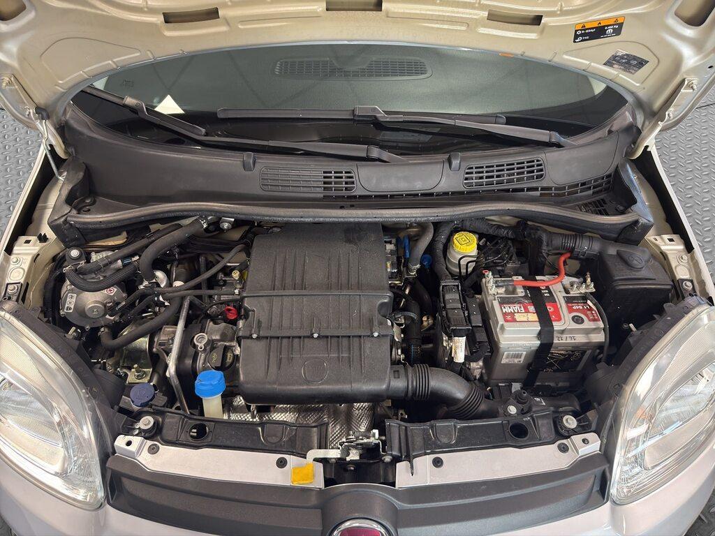 Fiat Panda 1.2 Easy easypower Gpl 69cv my19