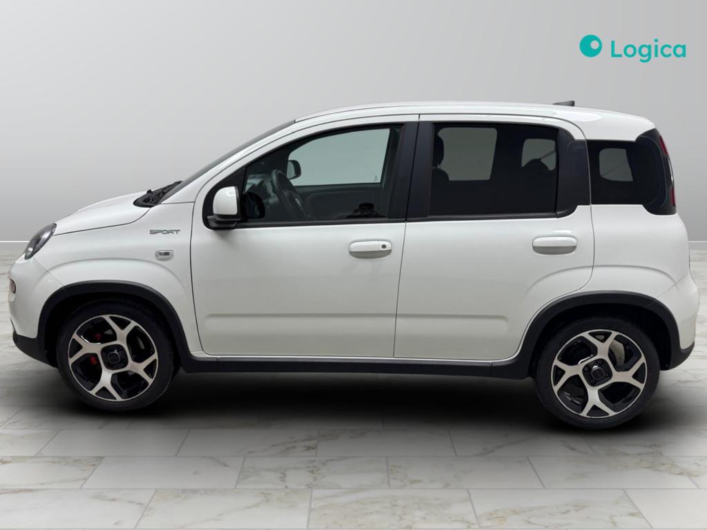 FIAT Panda III 2021 - Panda 1.0 firefly hybrid Sport s&s 70cv